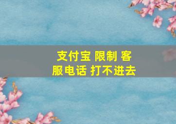 支付宝 限制 客服电话 打不进去